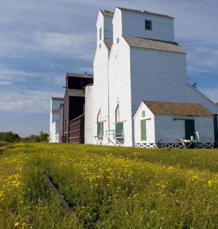 The white Inglis Grain Elevators with yellow wildflowers growing along the old train tracks.
