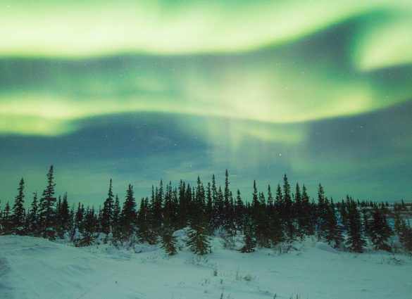 Person lying on their back in the snow, looking up at the northern lights in Churchill.