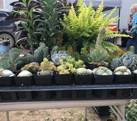 Grandview Market
